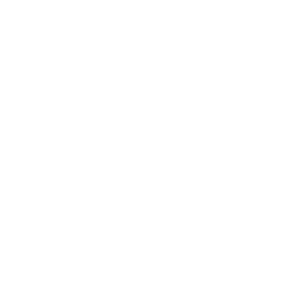 Piomotion